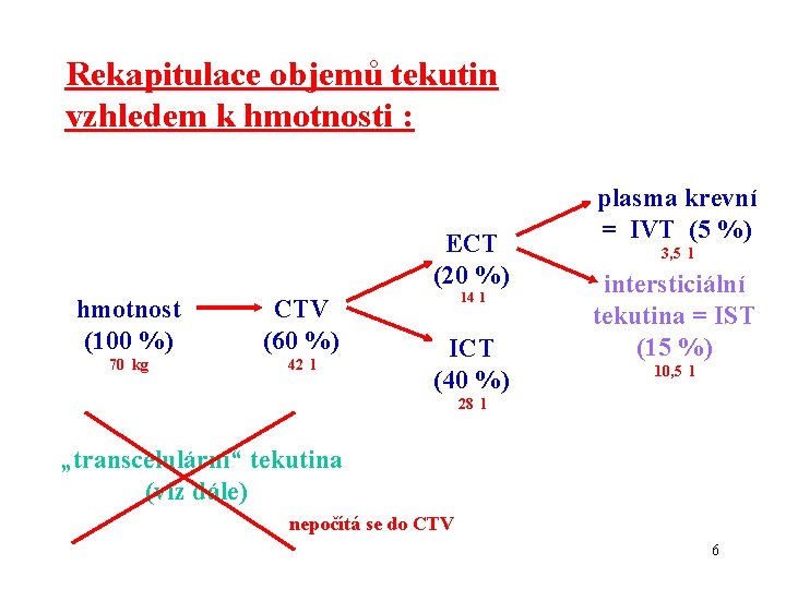 Rekapitulace objemů tekutin vzhledem k hmotnosti : ECT (20 %) hmotnost (100 %) CTV