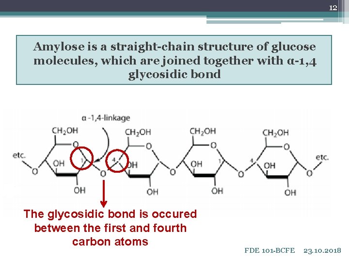 12 Amylose is a straight-chain structure of glucose molecules, which are joined together with