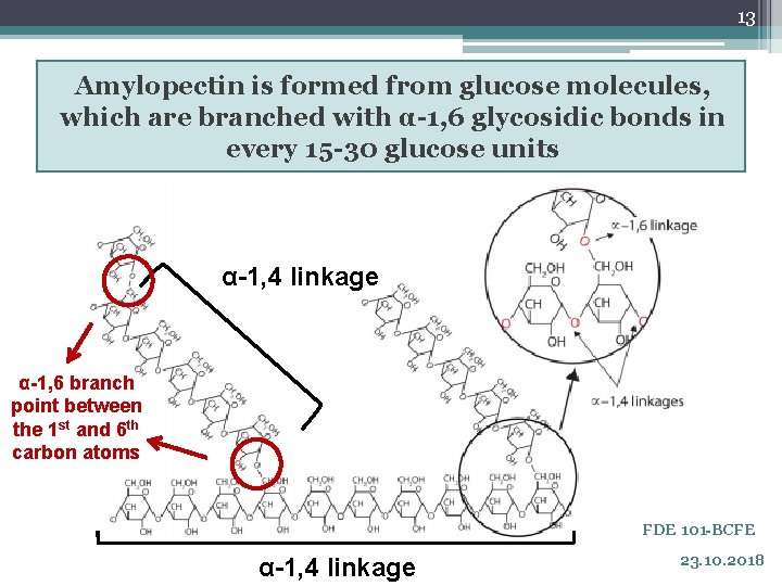 13 Amylopectin is formed from glucose molecules, which are branched with α-1, 6 glycosidic