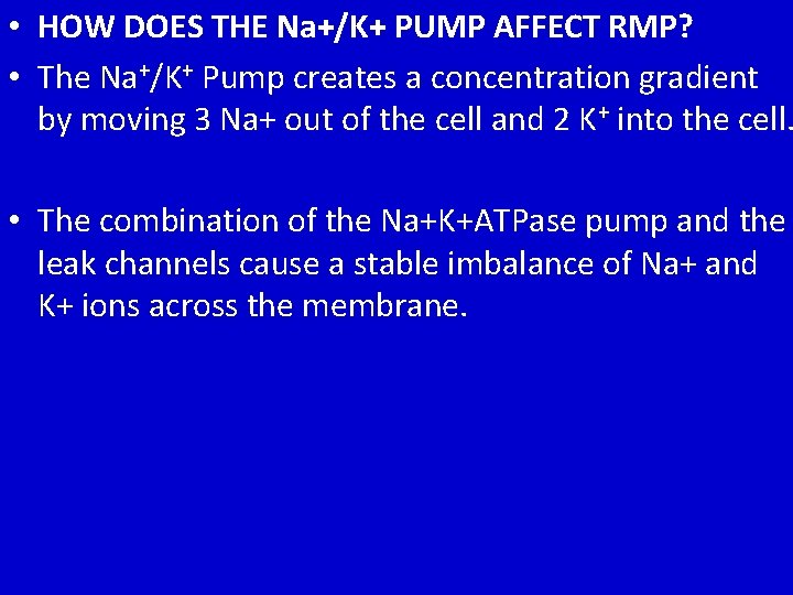  • HOW DOES THE Na+/K+ PUMP AFFECT RMP? • The Na+/K+ Pump creates