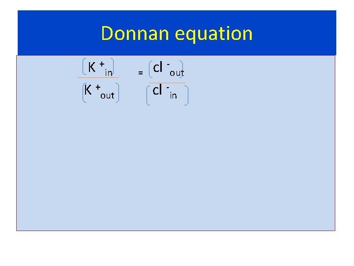 Donnan equation K +in = cl -out + K cl out in 