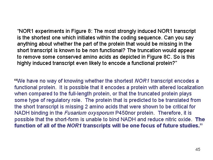 “NOR 1 experiments in Figure 8: The most strongly induced NOR 1 transcript is “NOR 1 experiments in Figure 8: The most strongly induced NOR 1 transcript is