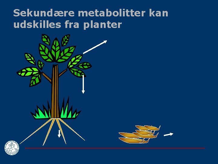 Sekundære metabolitter kan udskilles fra planter 