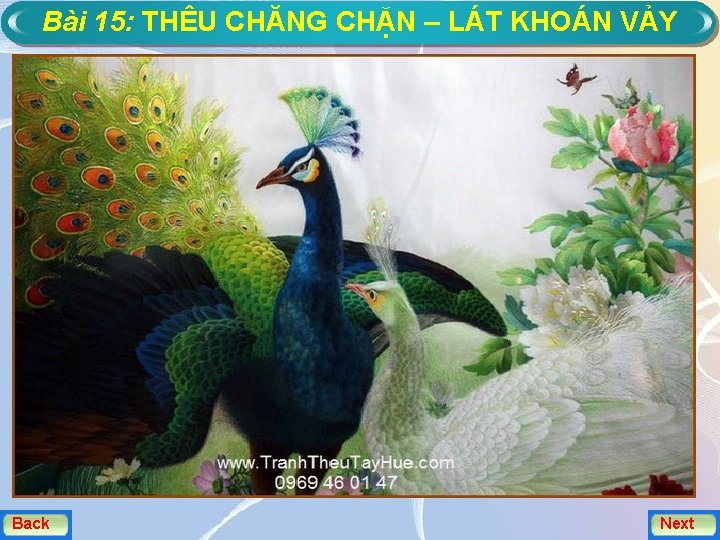 Bài 15: THÊU CHĂNG CHẶN – LÁT KHOÁN VẢY Back Next 