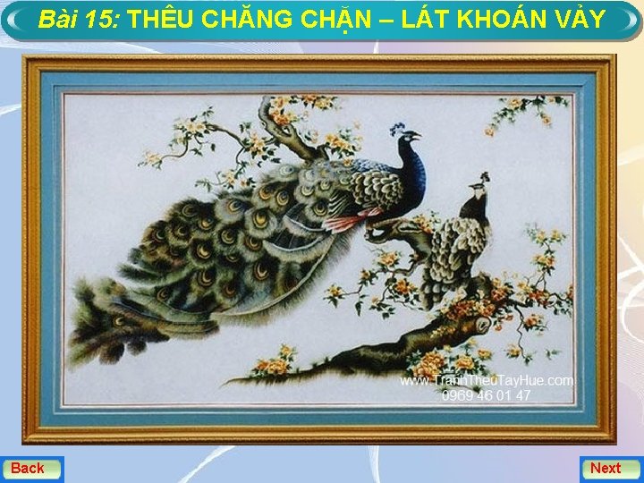 Bài 15: THÊU CHĂNG CHẶN – LÁT KHOÁN VẢY Back Next 