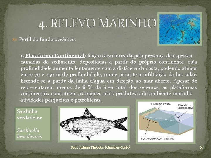 4. RELEVO MARINHO Perfil do fundo oceânico: 1. Plataforma Continental: feição caracterizada pela presença