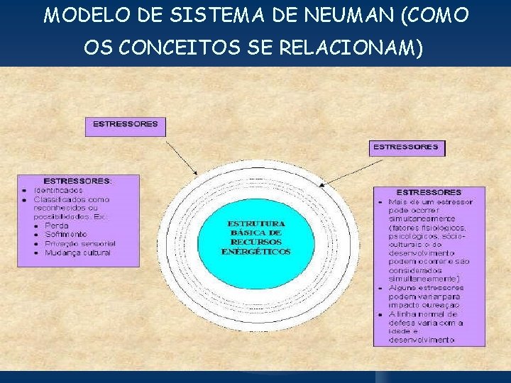 MODELO DE SISTEMA DE NEUMAN (COMO OS CONCEITOS SE RELACIONAM) 