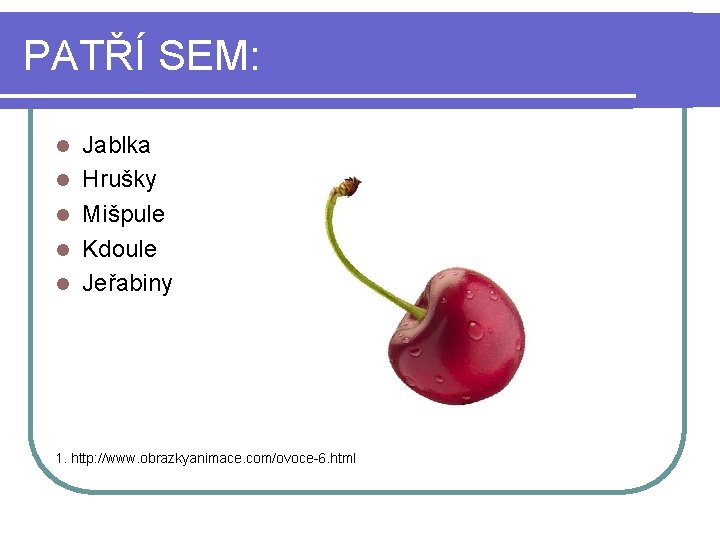 PATŘÍ SEM: l l l Jablka Hrušky Mišpule Kdoule Jeřabiny 1. http: //www. obrazkyanimace.