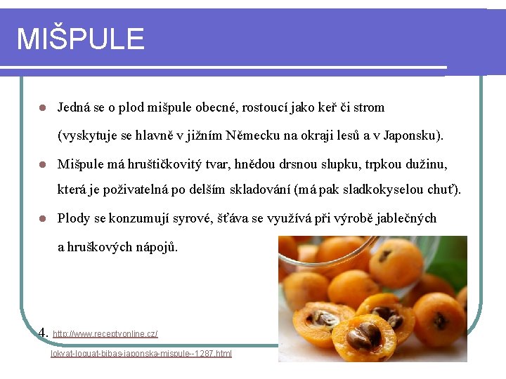 MIŠPULE l Jedná se o plod mišpule obecné, rostoucí jako keř či strom (vyskytuje