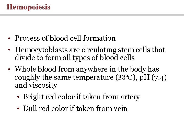 Hemopoiesis • Process of blood cell formation • Hemocytoblasts are circulating stem cells that