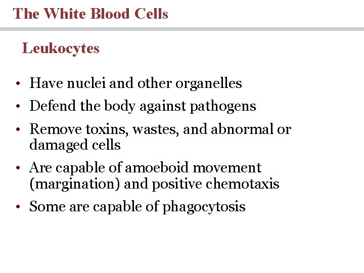 The White Blood Cells Leukocytes • Have nuclei and other organelles • Defend the