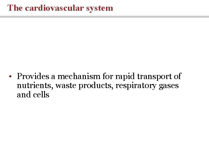 The cardiovascular system • Provides a mechanism for rapid transport of nutrients, waste products,