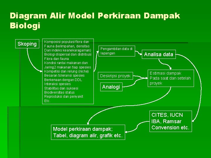 Diagram Alir Model Perkiraan Dampak Biologi Skoping Komposisi populasi flora dan Fauna (kelimpahan, densitas