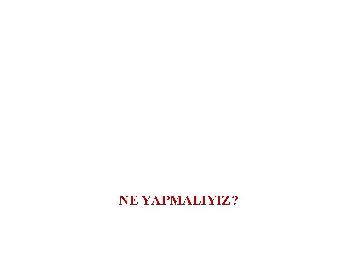 NE YAPMALIYIZ? 