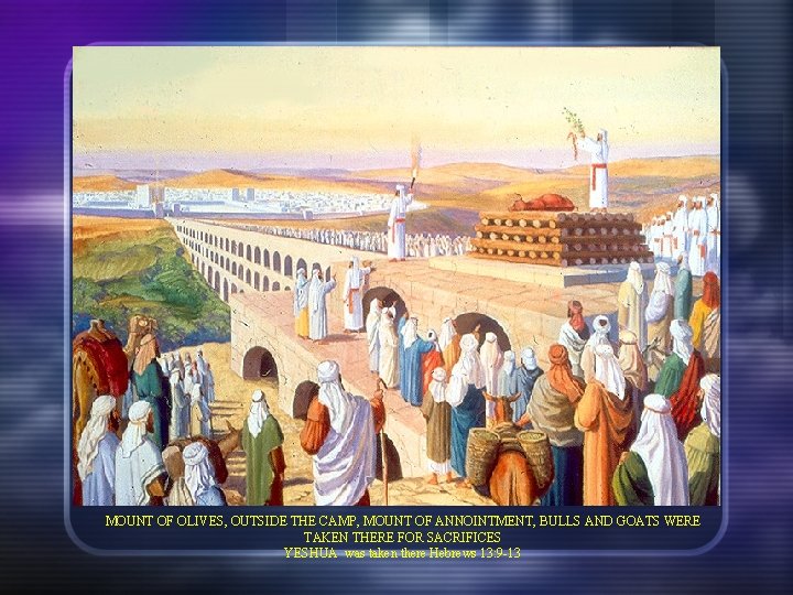 MOUNT OF OLIVES, OUTSIDE THE CAMP, MOUNT OF ANNOINTMENT, BULLS AND GOATS WERE TAKEN