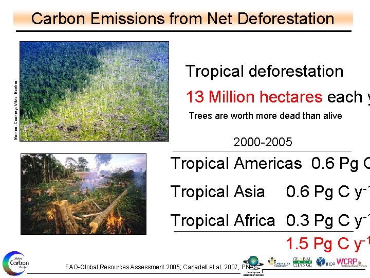 Carbon Emissions from Net Deforestation Borneo, Courtesy: Viktor Boehm Tropical deforestation 13 Million hectares