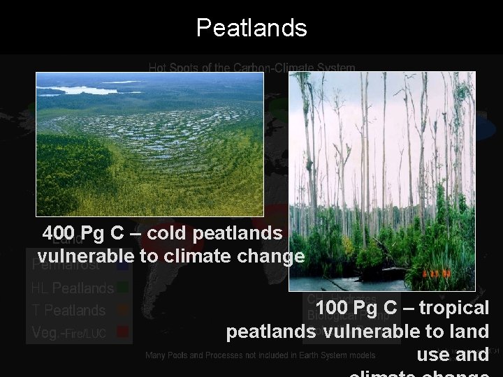 Peatlands 400 Pg C – cold peatlands vulnerable to climate change 100 Pg C