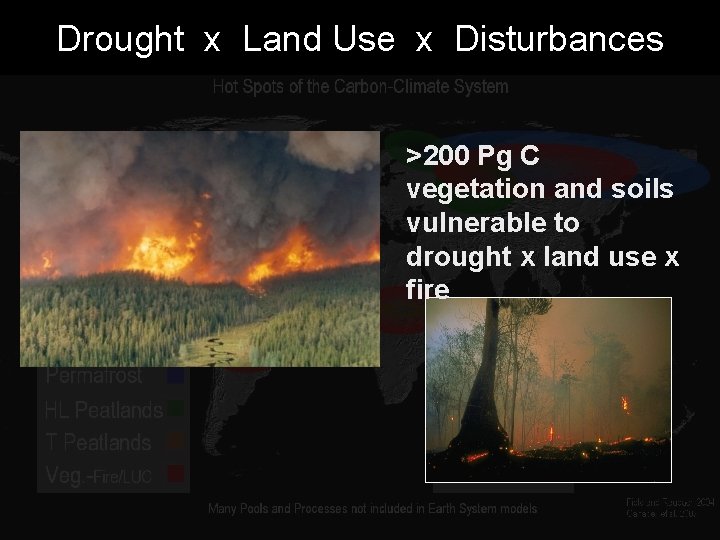 Drought x Land Use x Disturbances >200 Pg C vegetation and soils vulnerable to
