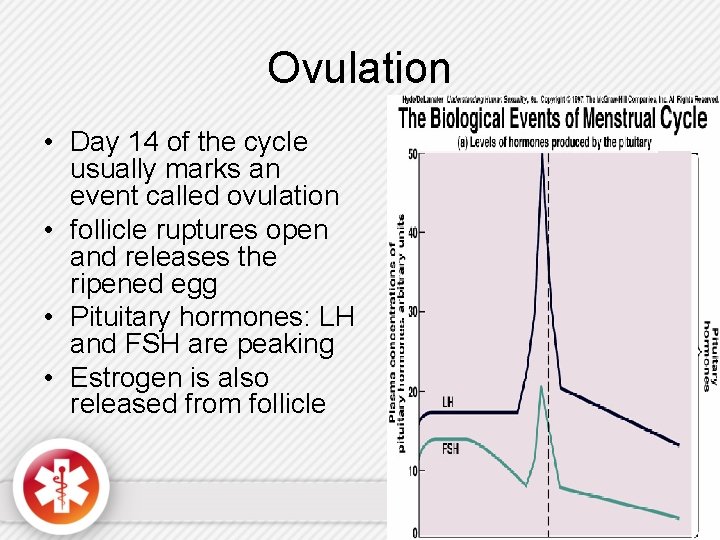 Ovulation • Day 14 of the cycle usually marks an event called ovulation •