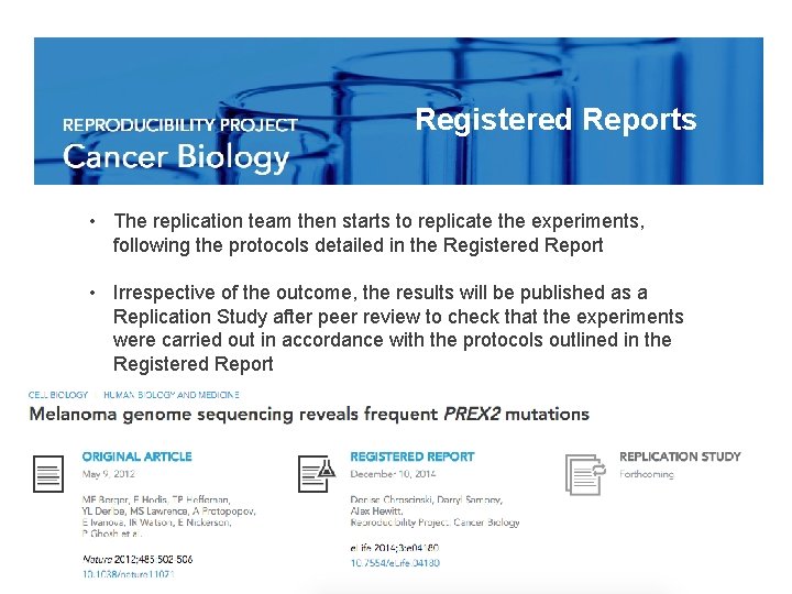 Registered Reports • The replication team then starts to replicate the experiments, following the