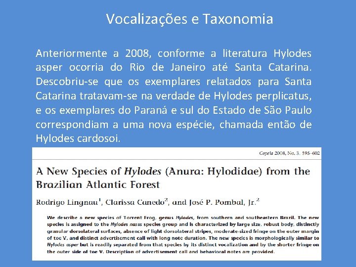 Vocalizações e Taxonomia Anteriormente a 2008, conforme a literatura Hylodes asper ocorria do Rio