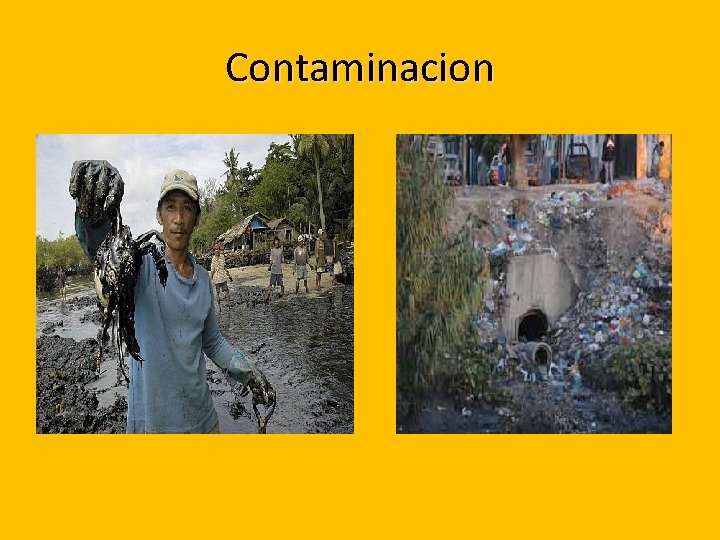 Contaminacion 