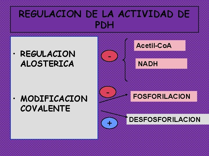 REGULACION DE LA ACTIVIDAD DE PDH • REGULACION ALOSTERICA • MODIFICACION COVALENTE Acetil-Co. A