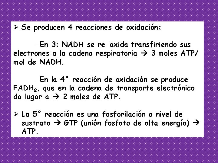 Ø Se producen 4 reacciones de oxidación: -En 3: NADH se re-oxida transfiriendo sus