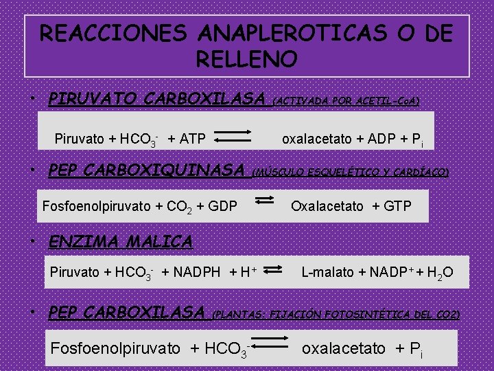 REACCIONES ANAPLEROTICAS O DE RELLENO • PIRUVATO CARBOXILASA (ACTIVADA POR ACETIL-Co. A) Piruvato +