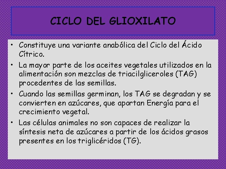 CICLO DEL GLIOXILATO • Constituye una variante anabólica del Ciclo del Ácido Cítrico. •