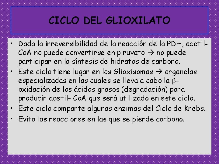 CICLO DEL GLIOXILATO • Dada la irreversibilidad de la reacción de la PDH, acetil.