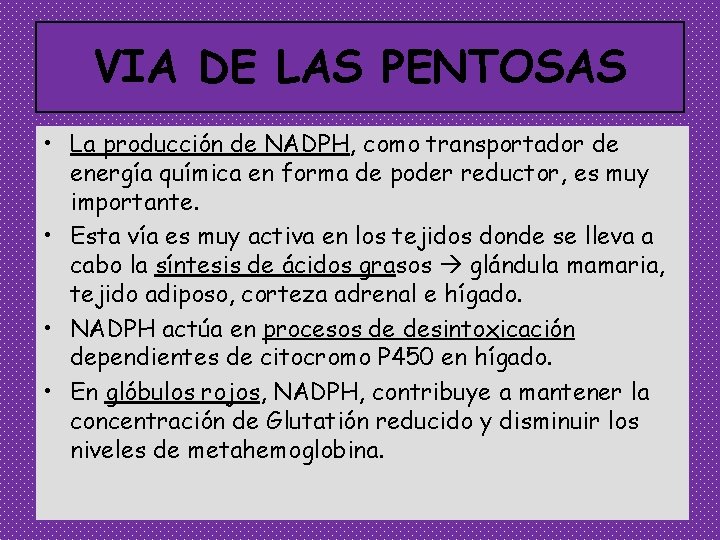 VIA DE LAS PENTOSAS • La producción de NADPH, como transportador de energía química