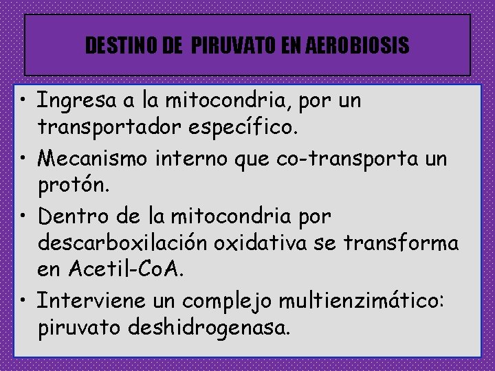 DESTINO DE PIRUVATO EN AEROBIOSIS • Ingresa a la mitocondria, por un transportador específico.