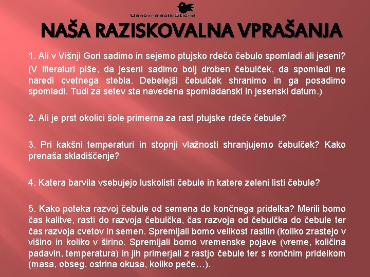 NAŠA RAZISKOVALNA VPRAŠANJA 1. Ali v Višnji Gori sadimo in sejemo ptujsko rdečo čebulo