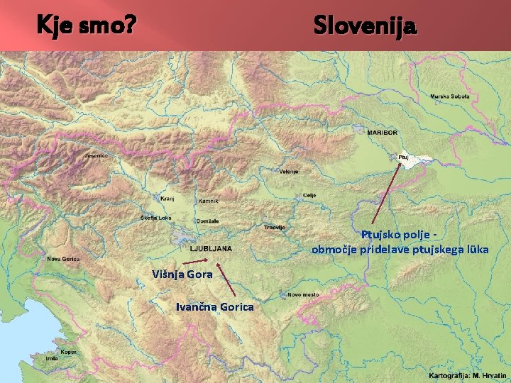 Kje smo? Slovenija Ptujsko polje območje pridelave ptujskega lüka Višnja Gora Ivančna Gorica 