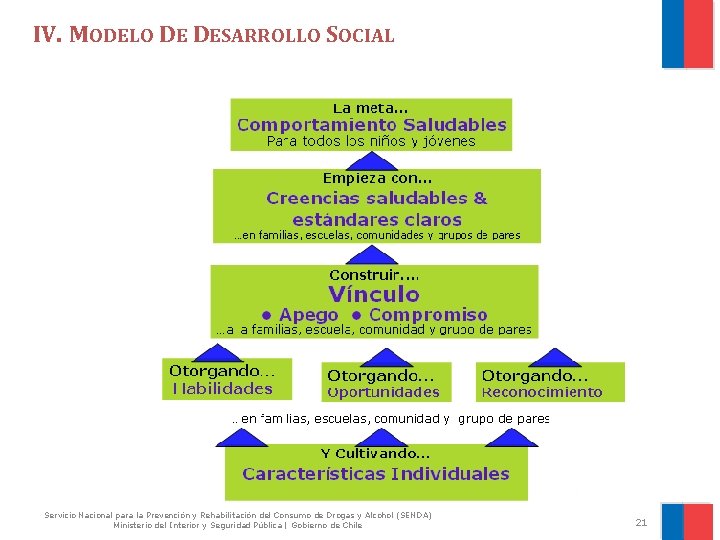 IV. MODELO DE DESARROLLO SOCIAL Servicio Nacional para la Prevención y Rehabilitación del Consumo