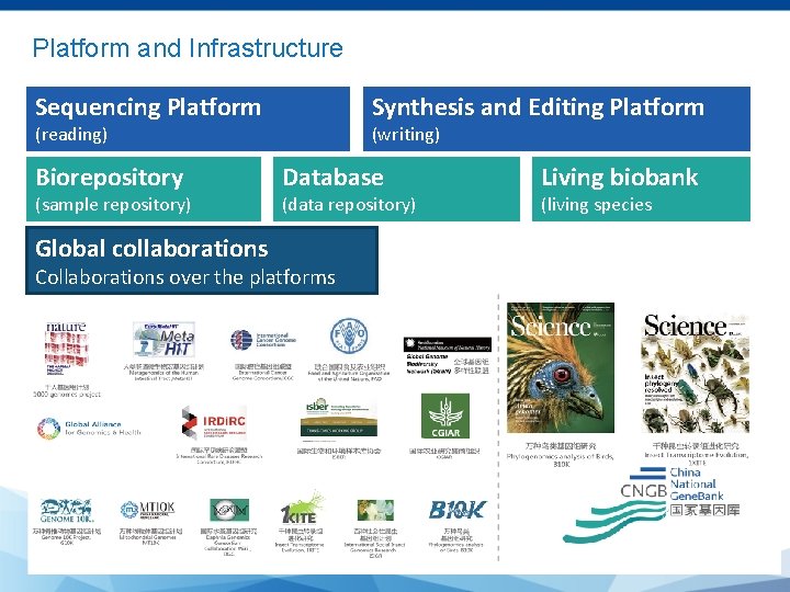 Platform and Infrastructure Sequencing Platform Synthesis and Editing Platform (reading) Biorepository (sample repository) Global