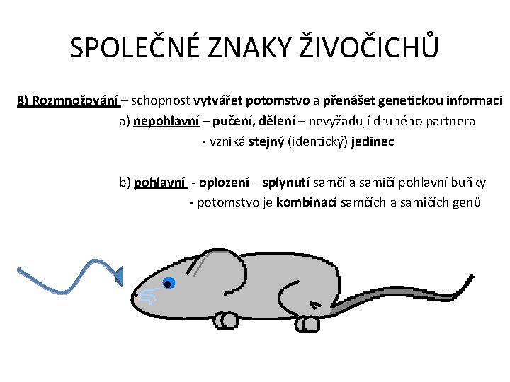 SPOLEČNÉ ZNAKY ŽIVOČICHŮ 8) Rozmnožování – schopnost vytvářet potomstvo a přenášet genetickou informaci a)