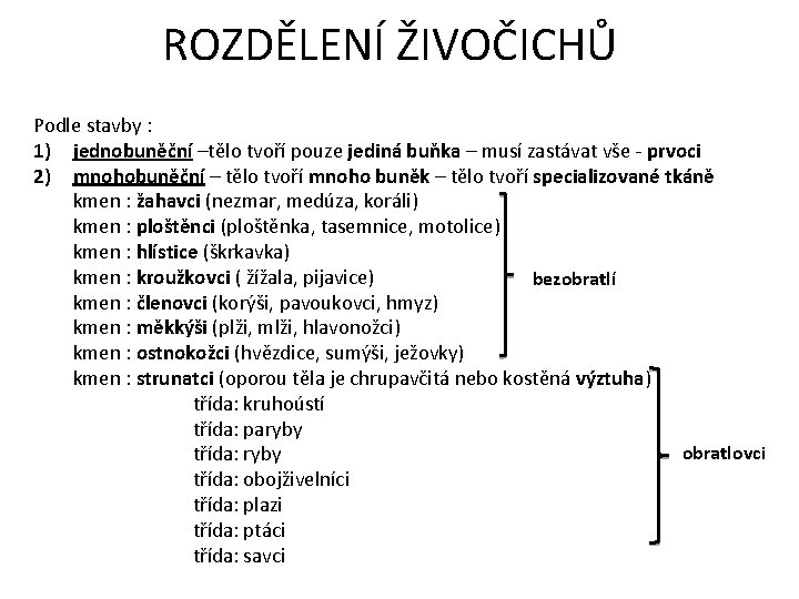 ROZDĚLENÍ ŽIVOČICHŮ Podle stavby : 1) jednobuněční –tělo tvoří pouze jediná buňka – musí