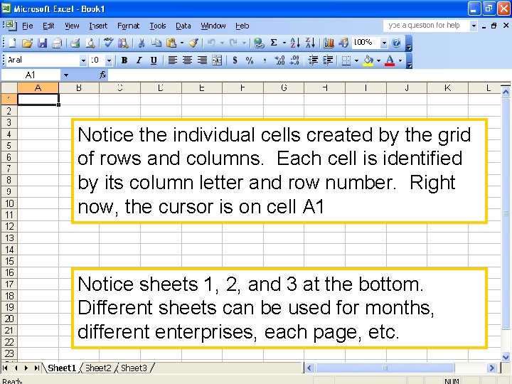 Notice the individual cells created by the grid of rows and columns. Each cell
