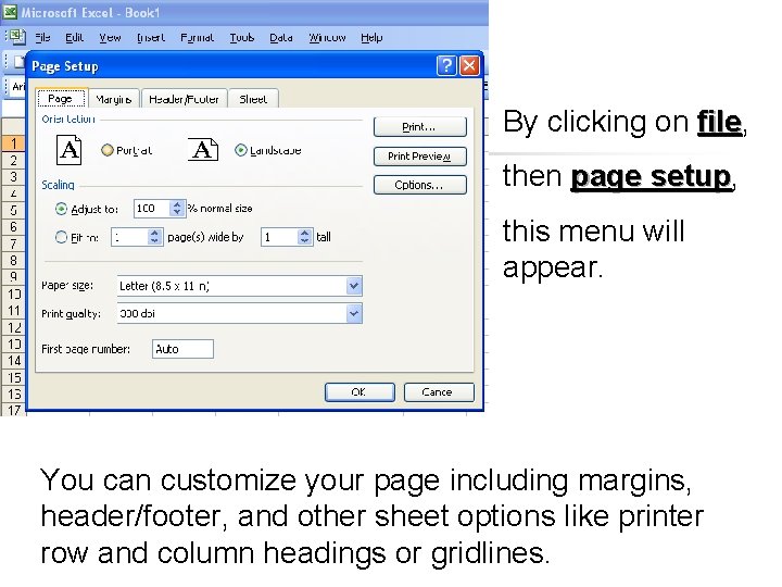 By clicking on file, file then page setup, setup this menu will appear. You