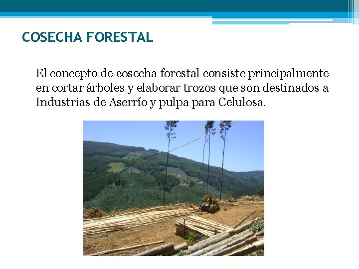 COSECHA FORESTAL El concepto de cosecha forestal consiste principalmente en cortar árboles y elaborar