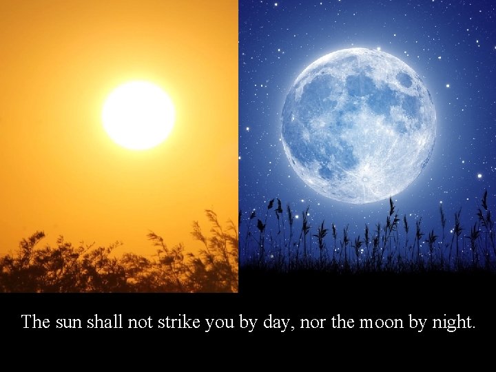 The sun shall not strike you by day, nor the moon by night. 