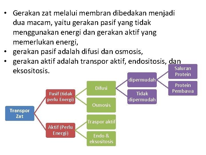  • Gerakan zat melalui membran dibedakan menjadi dua macam, yaitu gerakan pasif yang