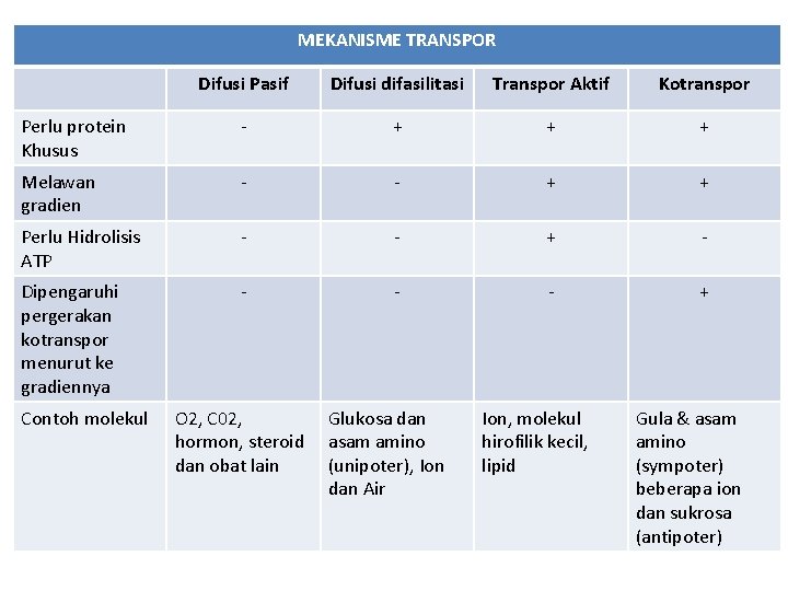 MEKANISME TRANSPOR Difusi Pasif Difusi difasilitasi Transpor Aktif Kotranspor Perlu protein Khusus - +