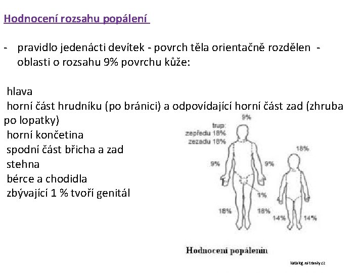 Hodnocení rozsahu popálení - pravidlo jedenácti devítek - povrch těla orientačně rozdělen oblasti o