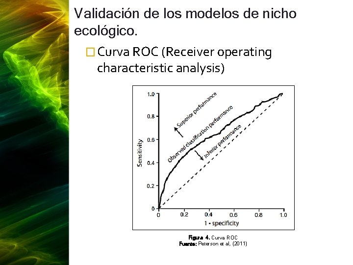Validación de los modelos de nicho ecológico. � Curva ROC (Receiver operating characteristic analysis)