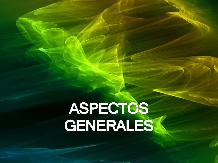 ASPECTOS GENERALES 