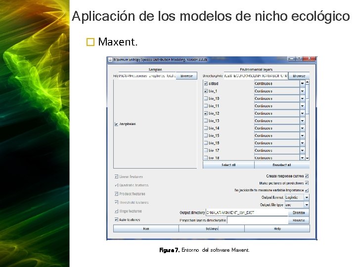 Aplicación de los modelos de nicho ecológico � Maxent. Figura 7. Entorno del software