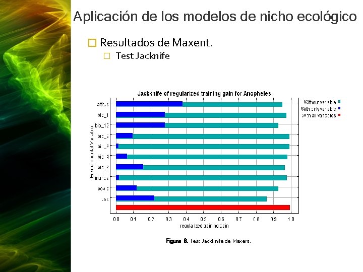 Aplicación de los modelos de nicho ecológico � Resultados de Maxent. � Test Jacknife